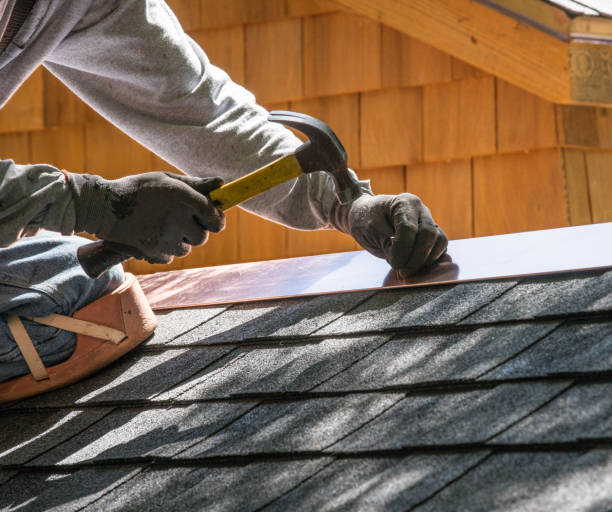 Best Metal Roofing Contractor  in Dauphin Island, AL